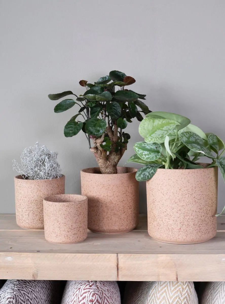 Bloempot keramiek - Bruin - 17x17cm - Maison Des Bonheurs