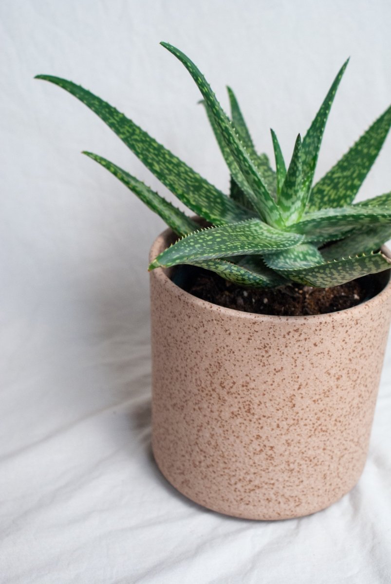 Bloempot keramiek - Bruin - 17x17cm - Maison Des Bonheurs