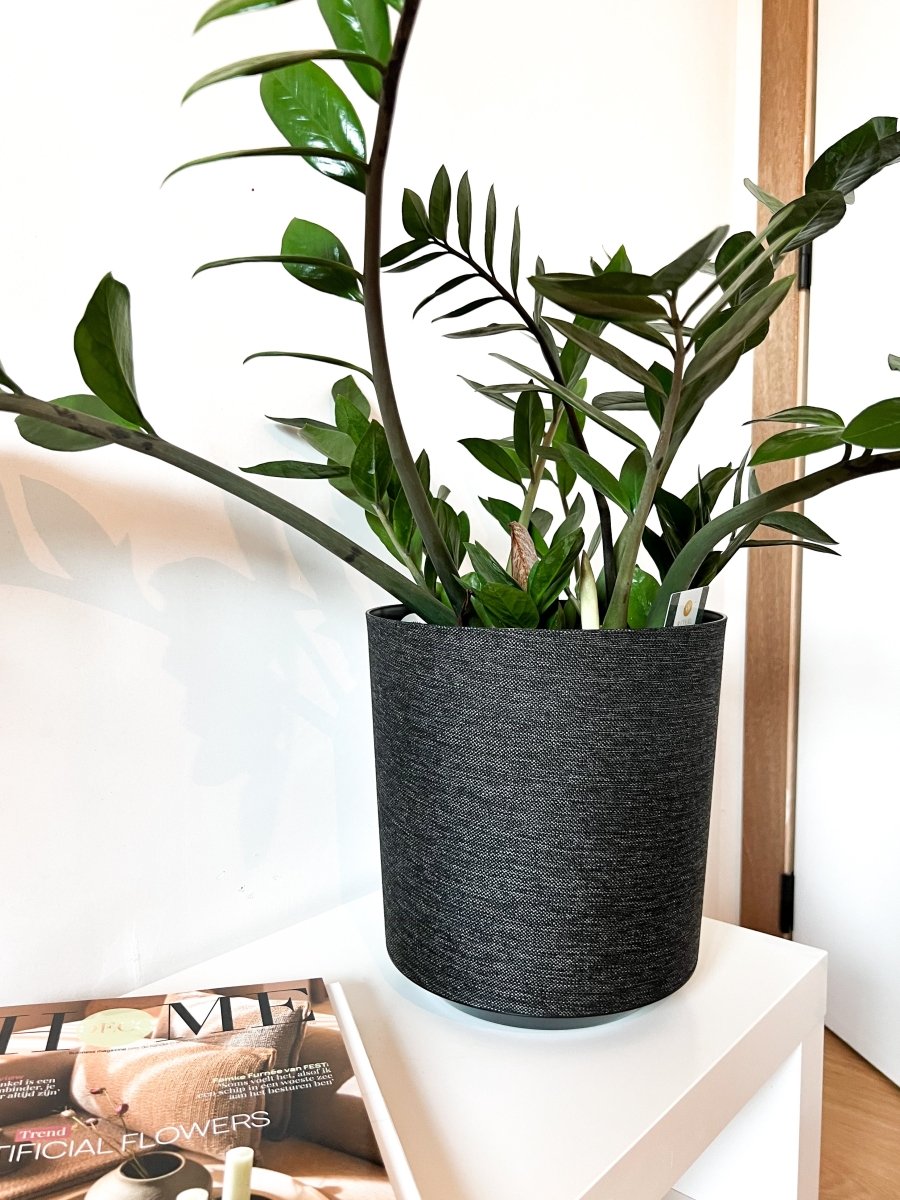 Bloempot textiel - Binnen - Maison Des Bonheurs