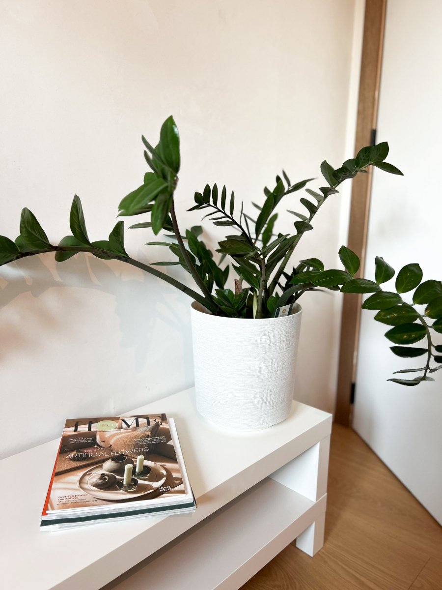 Bloempot textiel - Binnen - Maison Des Bonheurs