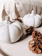 Decoratie pompoen | Lichtgrijs | Keramiek | 14x11cm