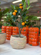 Kleurrijke mand | D22 X H15CM - Maison Des Bonheurs